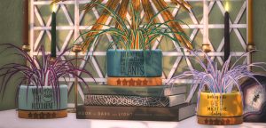 Spider plants on a stack of books.