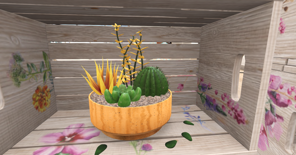 Succulents
