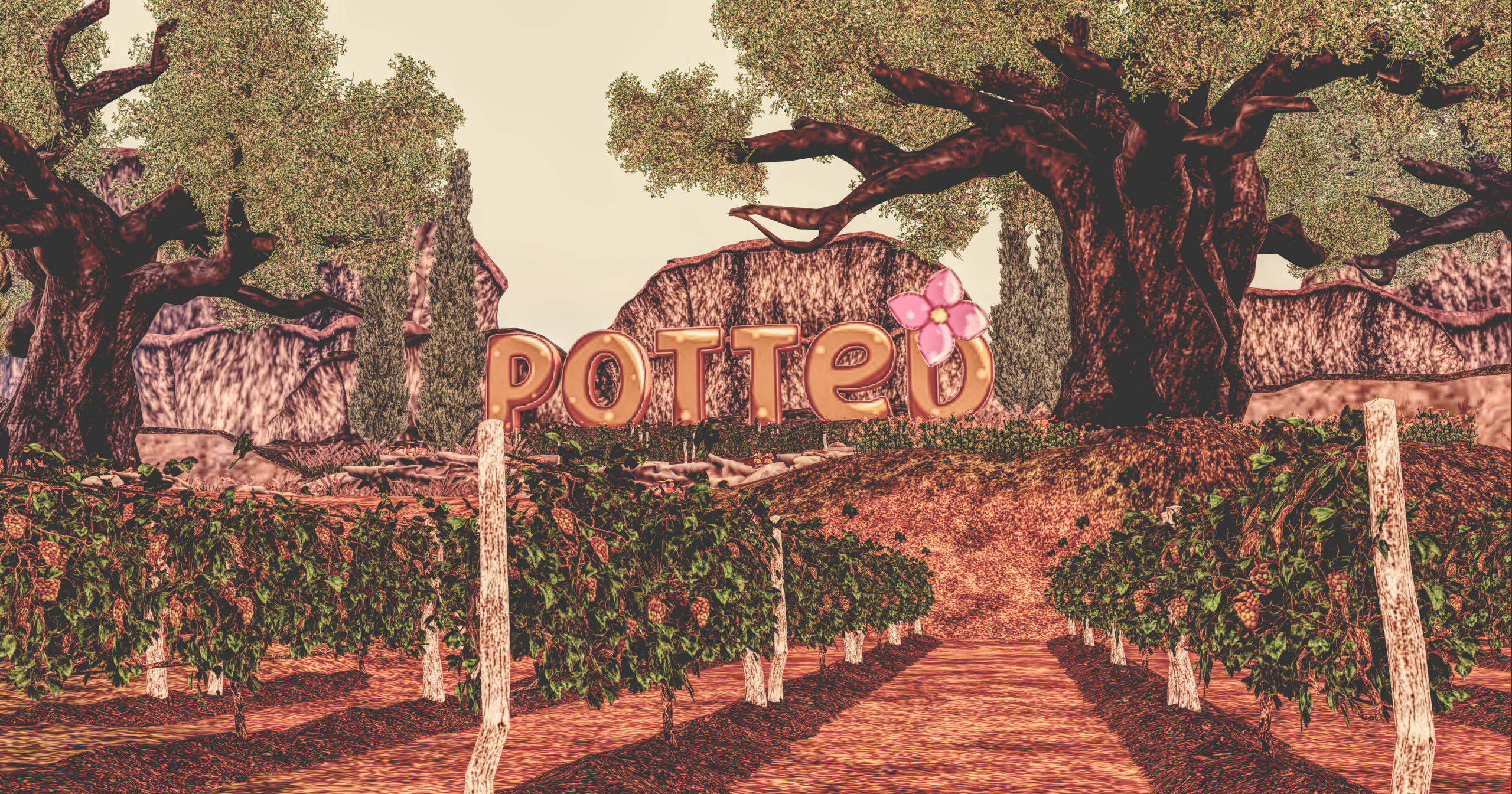 Grapes, Glasses & Good Vibes: Inside Potted’s Uncorked Journey